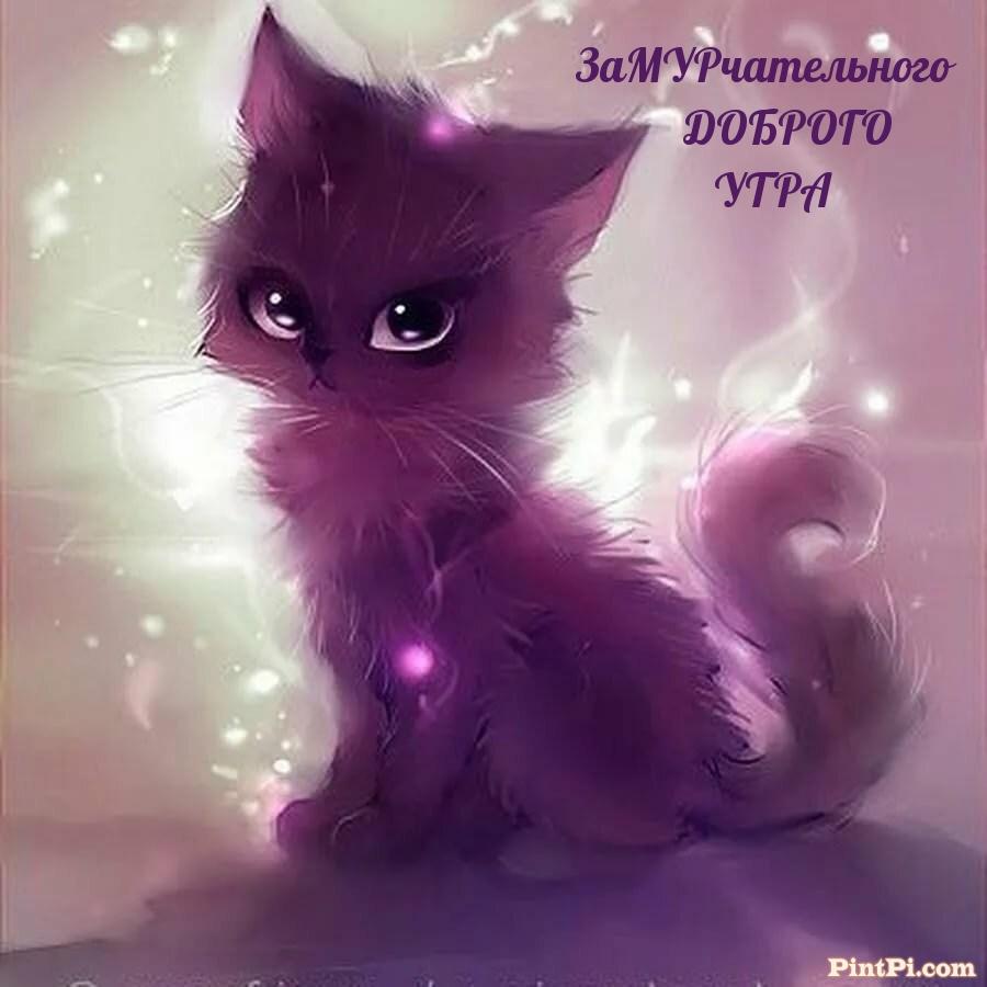 ЗаМУРчательного ДОБРОГО УТРА