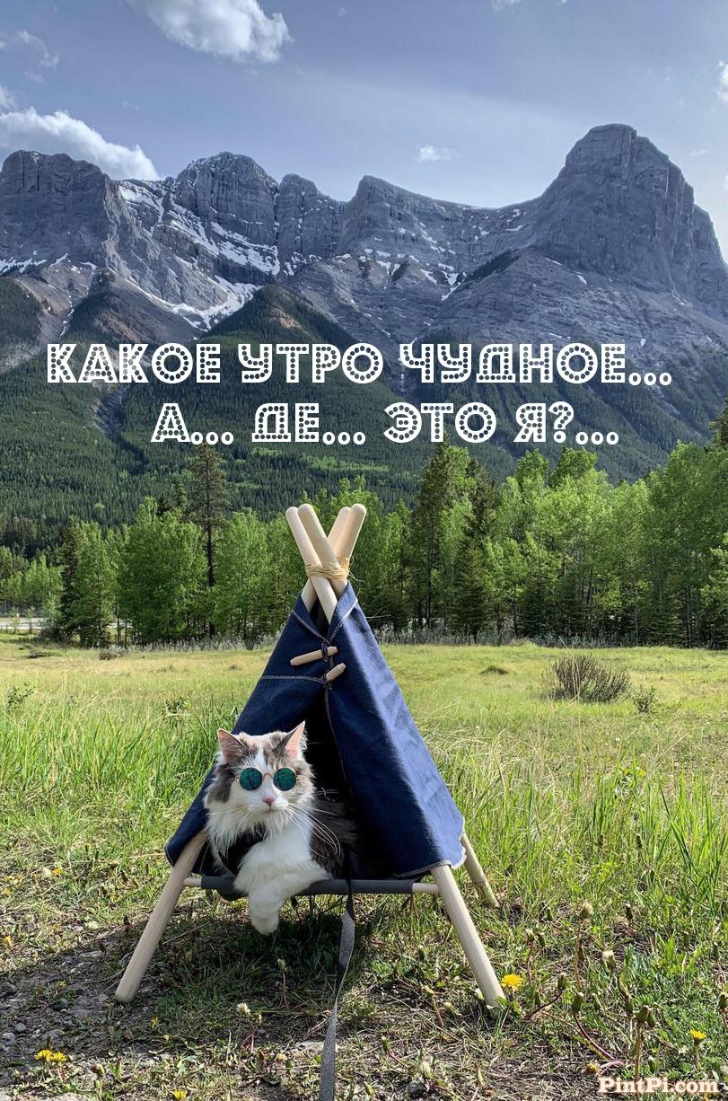 Какое Утро Чудное... А... Де... это Я?...