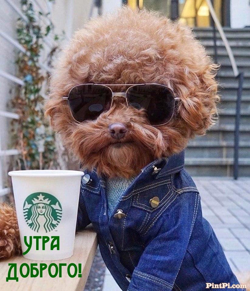 Утра Доброго!
