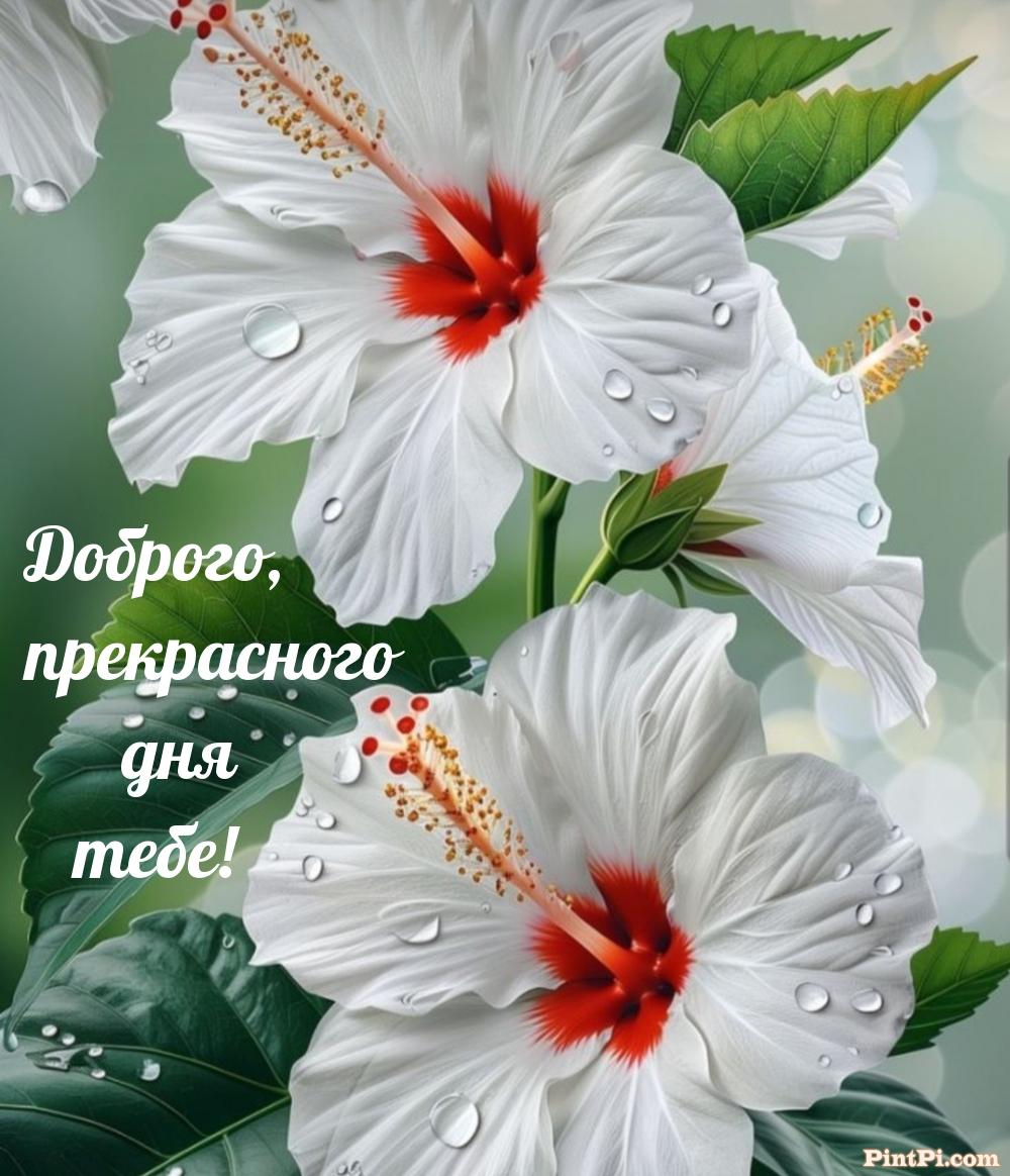 Доброго, прекрасного дня тебе! 