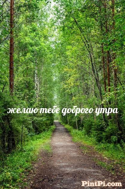 желаю тебе доброго утра