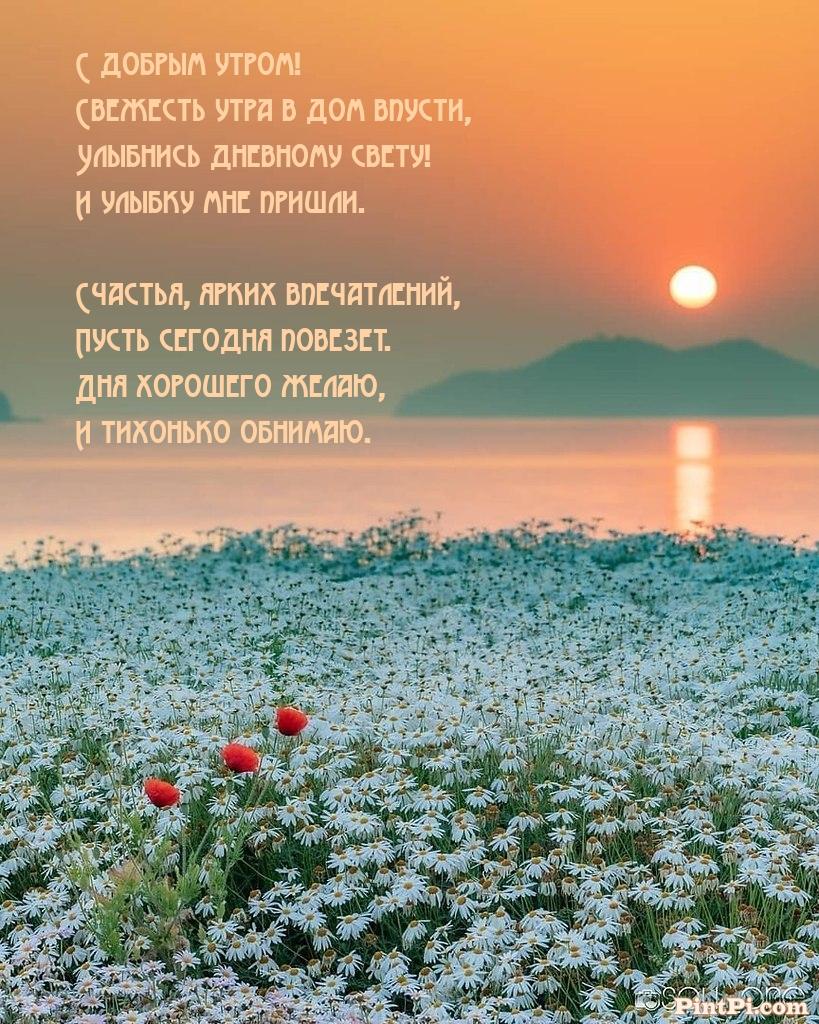 С добрым утром! Свежесть утра в дом впусти!