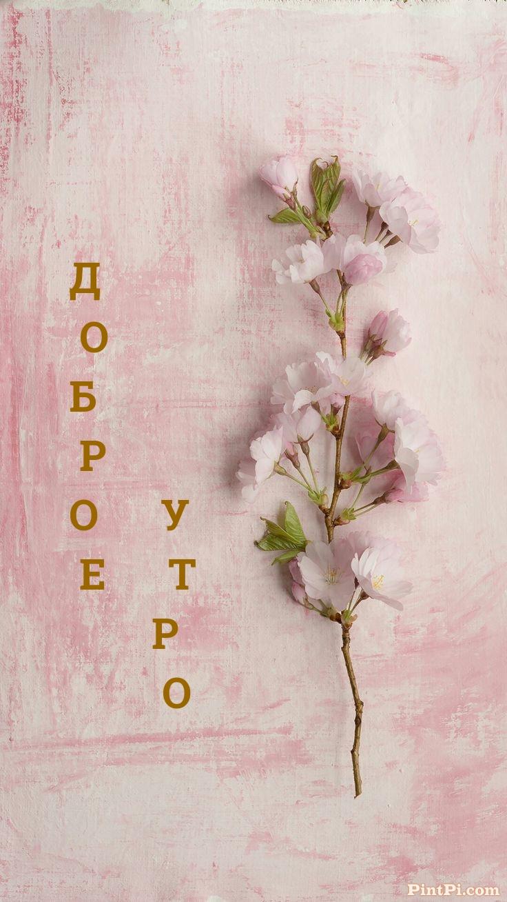 Доброе утро!